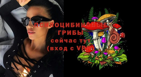 COCAINE Белокуриха