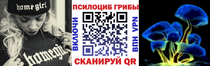 Псилоцибиновые грибы Psilocybine cubensis  маркетплейс формула  Отрадная 
